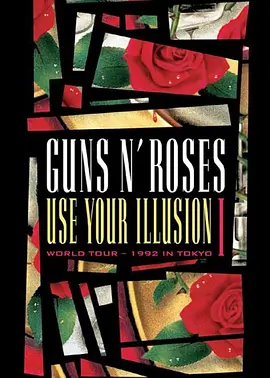 Guns N' Roses: Use Your Illusion